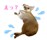 558670280