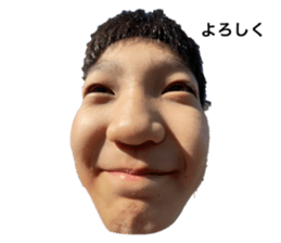 558671118