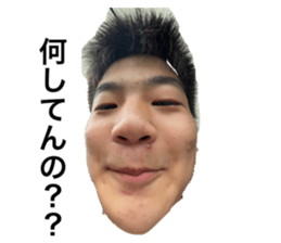 558671120