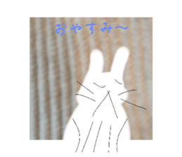 558671920