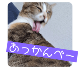 558679166
