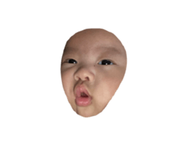 558704152