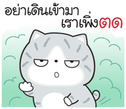 558709504