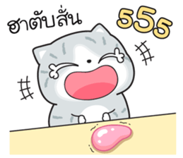558709511