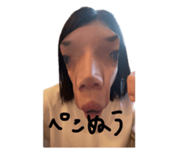 558728818