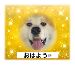 558740686