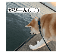 558740701