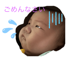 558753992