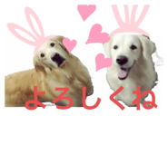 558767549