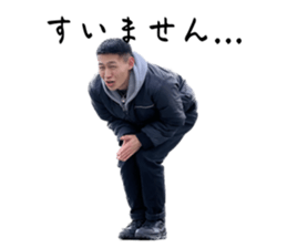 558794911