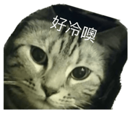 558841796