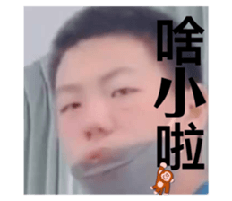 558845003