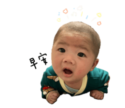 558854040