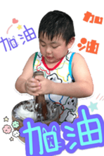 55885479
