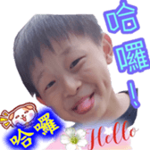55885489
