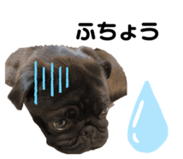 558858528