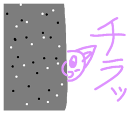 558877660