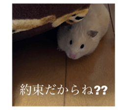 558880384