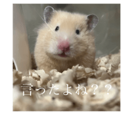 558880385