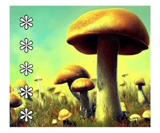 558888447