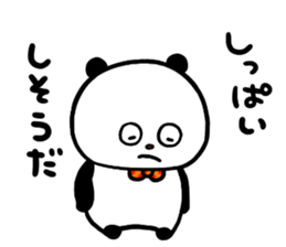 55889095