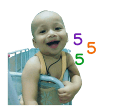 55891463