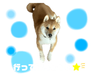 558981215