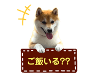 558981224