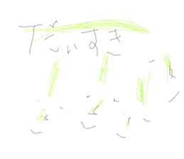 559006525