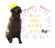 559006892