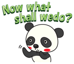 559017