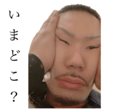 559071341
