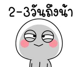 559073894