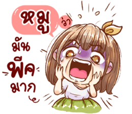55907833