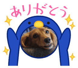 559110656