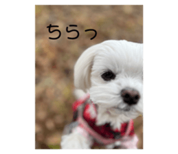 559121478