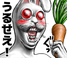 559125505