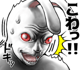 559125525