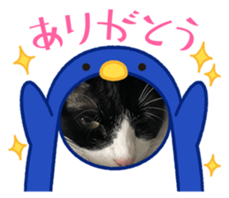 559131665