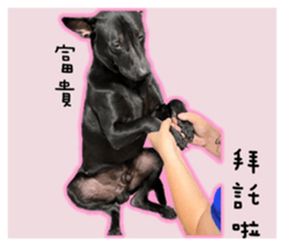 559148533