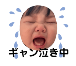 559150751