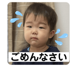 559233736
