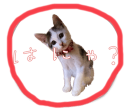 559273542