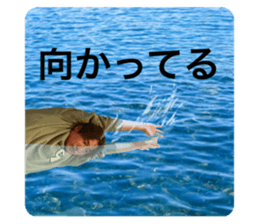 559307447