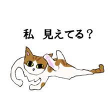 5593119