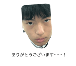 559312317