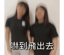 559313917