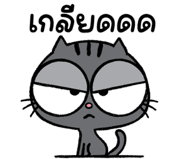 สติกเกอร์ 559315551