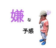 559322523
