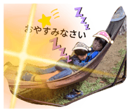 559322532